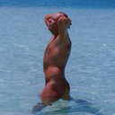 tanlinesbegone avatar