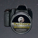 taomoonsworkshop avatar