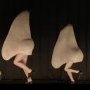 tap-dancing-noses avatar