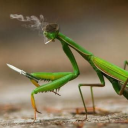 tappingontheline avatar