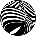 tappy-flappyy avatar