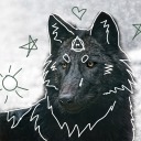 tarablackwolf avatar