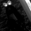 tardissizzamanlordu avatar