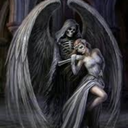 tarifaelivrin avatar