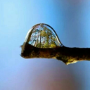 tariff-irma-blog avatar