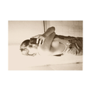 tarischa97-blog avatar