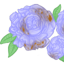 tarnishedpeonies avatar