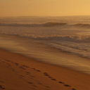 tarotenchantress avatar