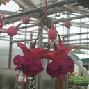 tarotvibes-blog avatar