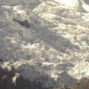 tarracanenenocolo avatar