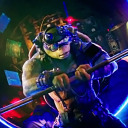 tartarugabros avatar