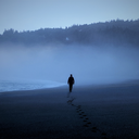 tartcherryjuice avatar