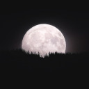 tashaaliovnaromanowsky avatar