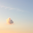 taste-of-apple-pips avatar