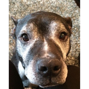 tastefulindecency avatar