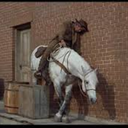 tastelessrebel-blog avatar