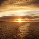 tasteoftheforbidden avatar