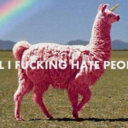 tastetherainbowbiatch avatar