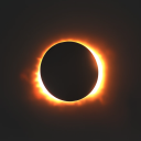 tasteyourbeatingheart avatar