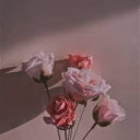 tastystrwbrry avatar