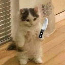 tate-langdonn avatar