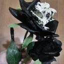 tateintate-blog avatar