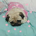 tatertoots-blog avatar