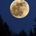 tatianalml-blog avatar