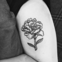 tatsthatdontsuck avatar