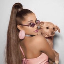 tatteredandt0rn avatar