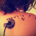 tattoocollectionnew avatar