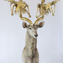 tattooonmysoul avatar