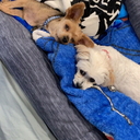 tattoos-on-the-river-line avatar