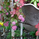 tatunootosigo avatar