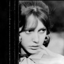 taubenmaedchens avatar