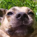 taurus-does-things avatar