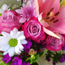 taurusknicole avatar