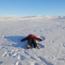 tavotavotavotavo avatar