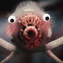 tavs-brainworm avatar