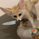 taxcrimesspeaks avatar