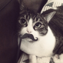 taxidermiedarchive avatar