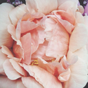 taxparadiset-blog-blog avatar