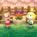 tayatagiacnl avatar