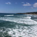 taylor---grace avatar