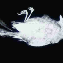 taylor185-blog avatar