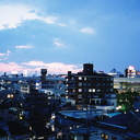 taylorchyenne avatar