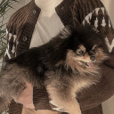 tayloritsanth avatar