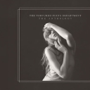 taylornotswiftly avatar