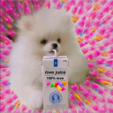 taylorsnation avatar