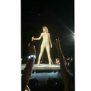 taylorswiftcorner avatar